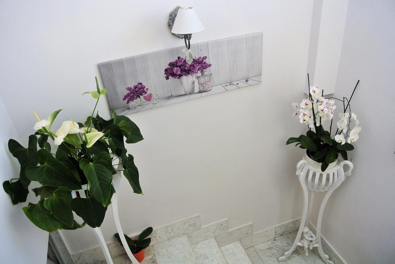 Almasol Bed & Breakfast Cassano delle Murge Dış mekan fotoğraf