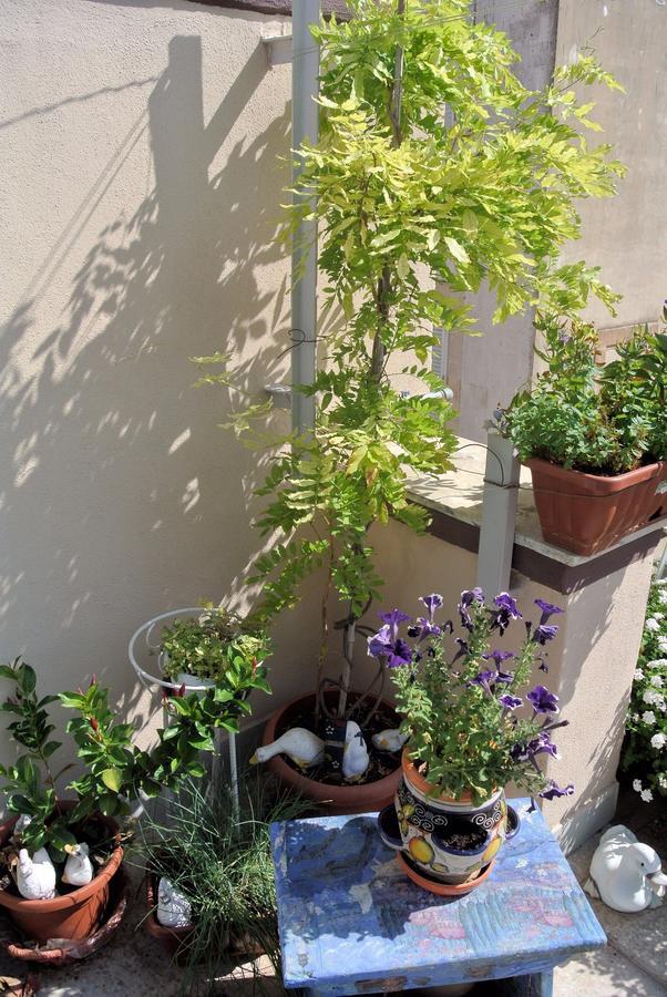 Almasol Bed & Breakfast Cassano delle Murge Dış mekan fotoğraf